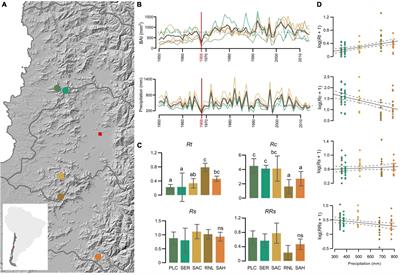 Tree-Ring Analysis and Genetic Associations Help to Understand Drought Sensitivity in the Chilean Endemic Forest of Nothofagus macrocarpa
